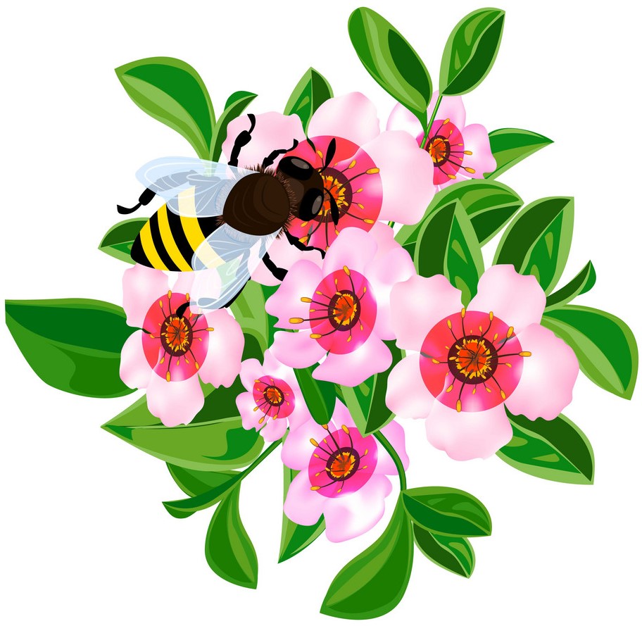 Fresh Flowers
